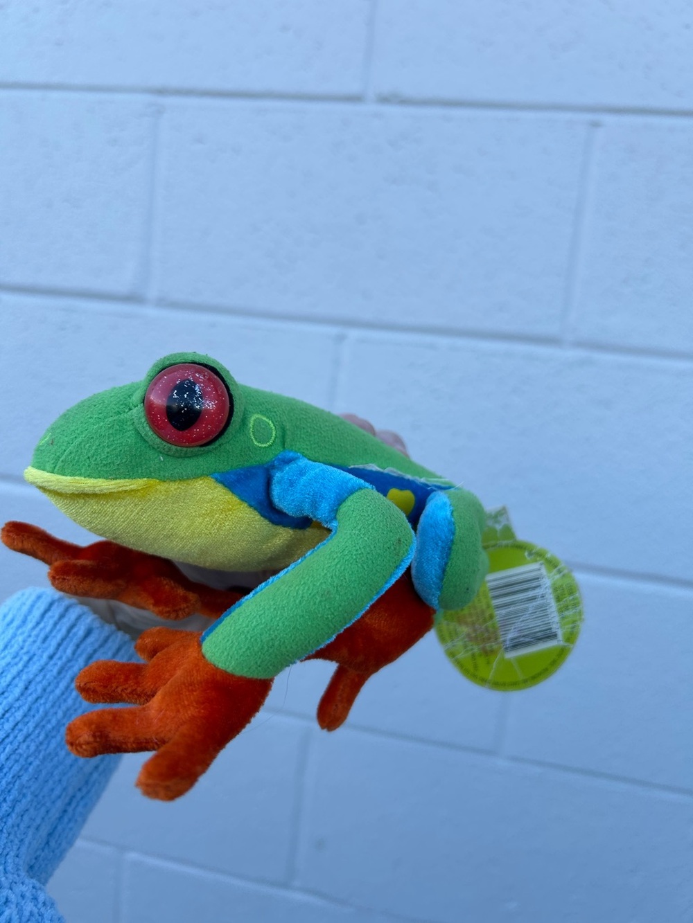 Costa Rica Starbucks Plush Green Red-Eyed Tree Frog Stuffed